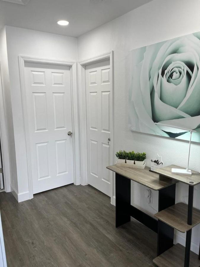 Incredible Comfortable Apartments Near The Airport And Beaches Tampa Eksteriør bilde