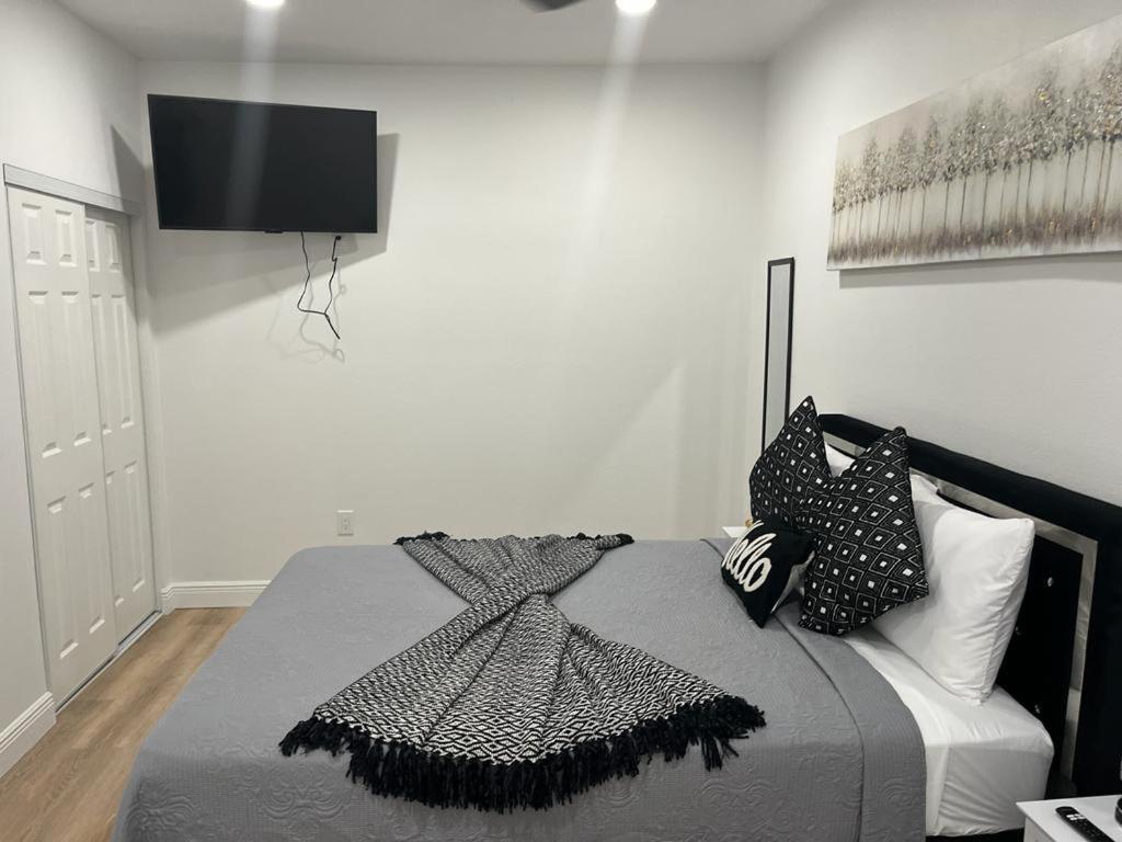 Incredible Comfortable Apartments Near The Airport And Beaches Tampa Eksteriør bilde